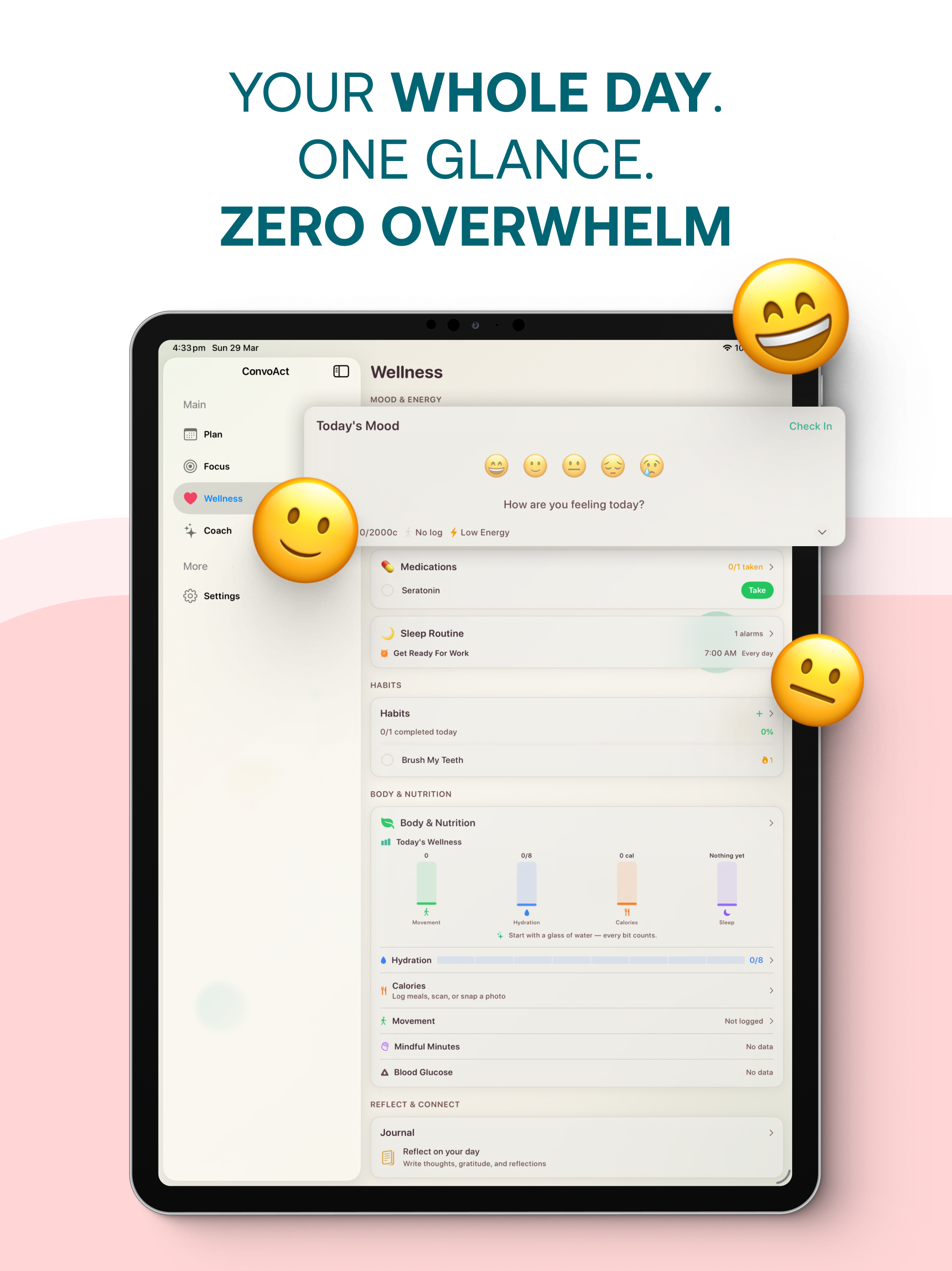 iPad — Your Whole Day. One Glance. Zero Overwhelm — Wellness hub with mood check-in