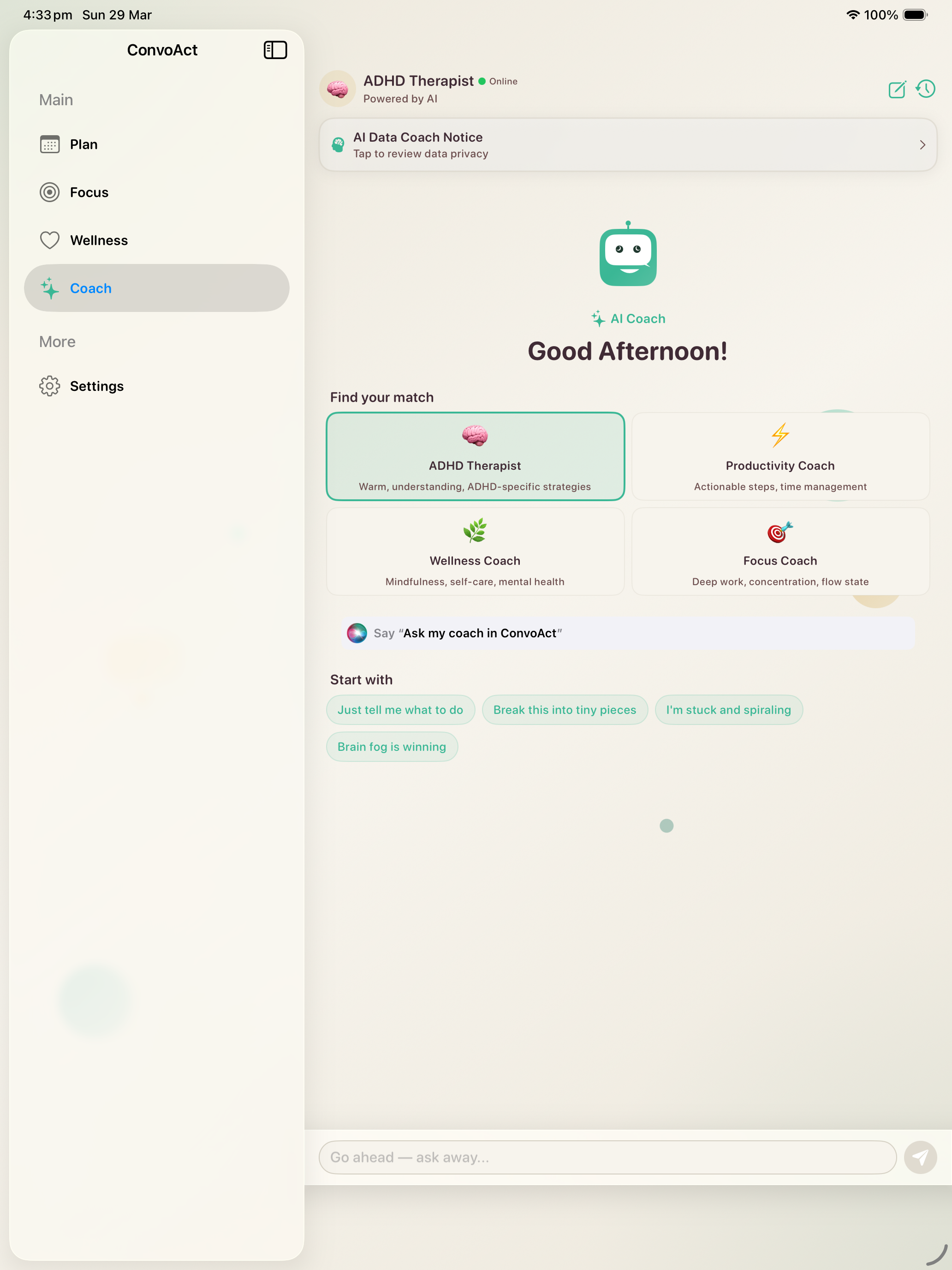 iPad — AI Coach with 4 ally personalities, conversational chat interface, and mascot
